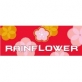 rainflower